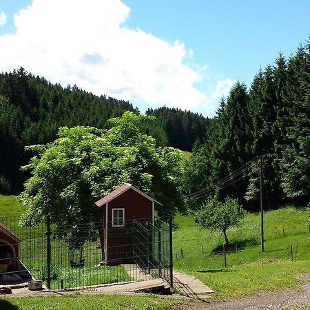 Ferienwohnung Ringwald Biederbach Екстер'єр фото