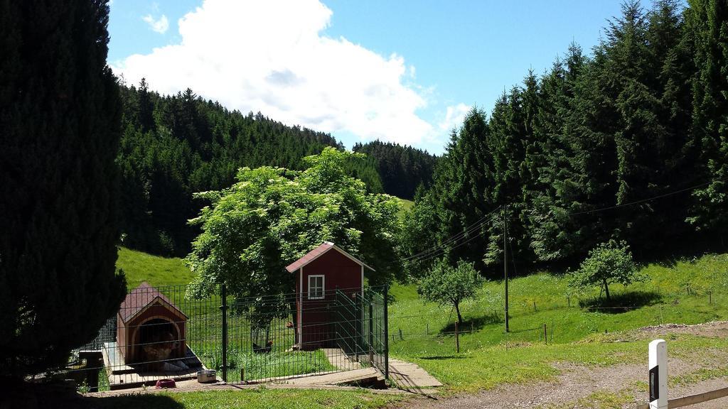 Ferienwohnung Ringwald Biederbach Екстер'єр фото