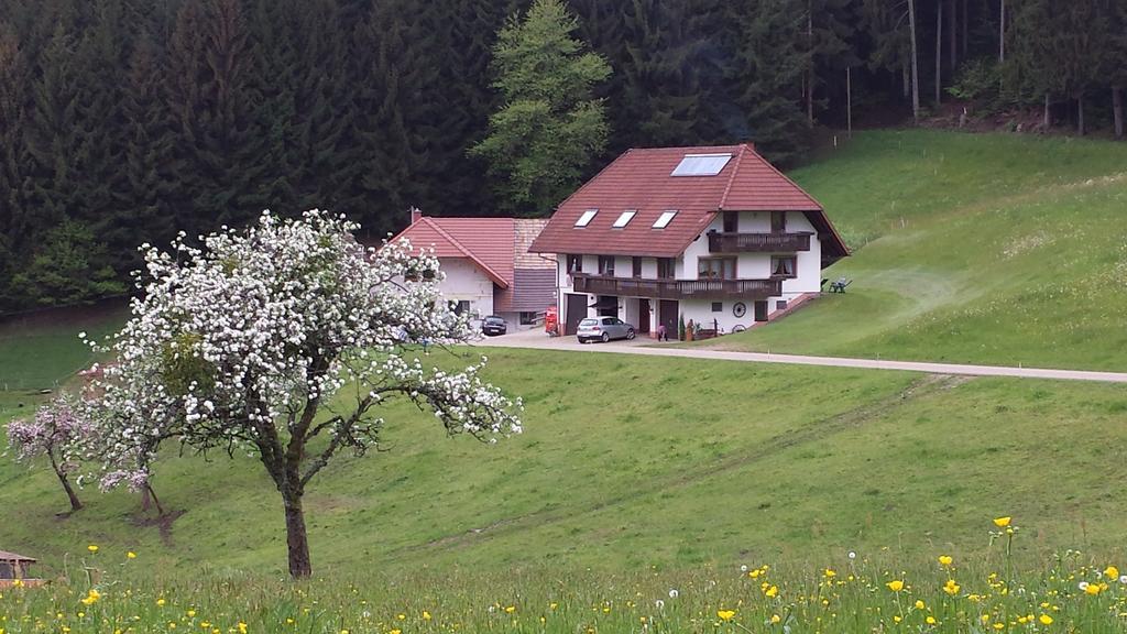 Ferienwohnung Ringwald Biederbach Екстер'єр фото